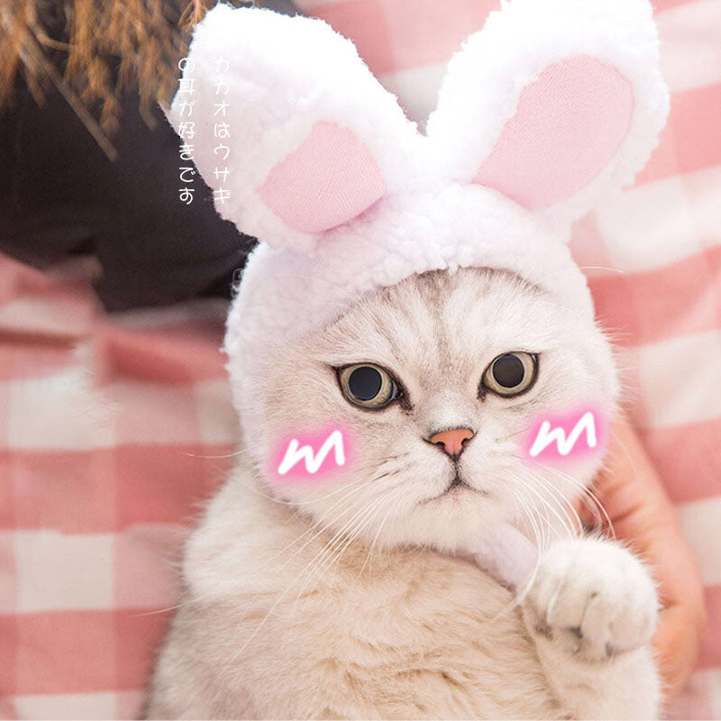 Funny Pet Cat Cap Costume Warm Rabbit Hat