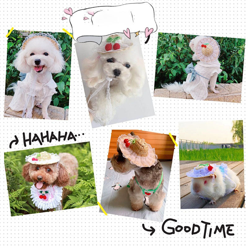 Lace Flower Hat Cat Dog Spring and Summer Sun Shade Straw Hat
