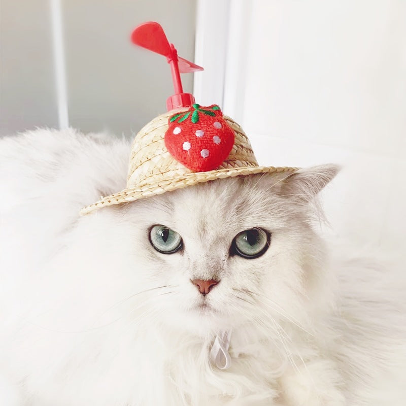 Bamboo Dragonfly Cartoon Cute Cat Straw Hats Cap