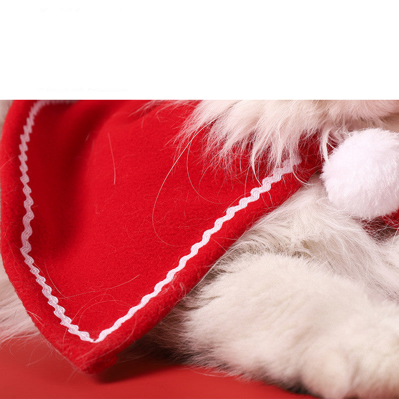 New Year Cat Red Cloak Shawl