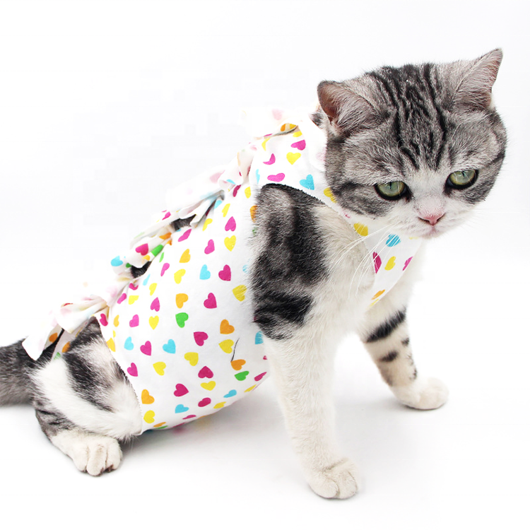 Cat Protective Coat Pet For Abdominal Wounds Or Skin Diseases