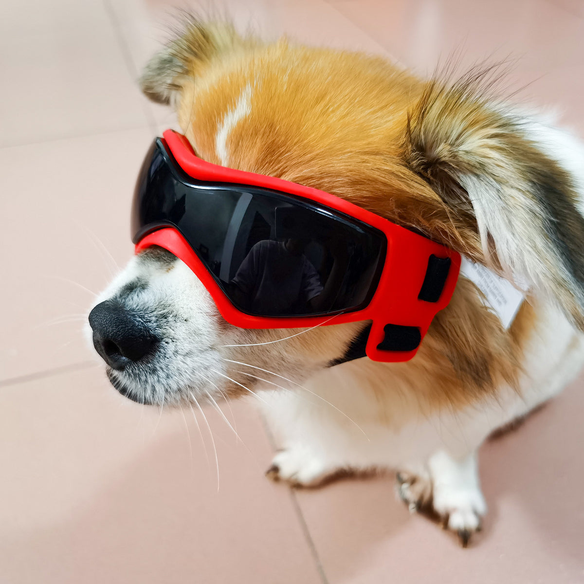 Pet Cool Glasses Uv Protection Soft Frames Dog Goggles Sunglasses