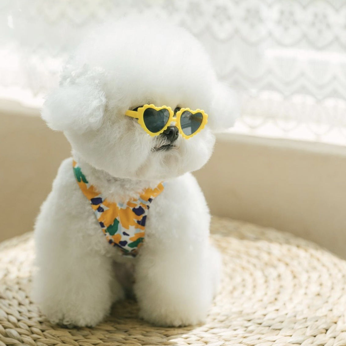 Creative Lace Love Pet Dog Cat Sunglasses