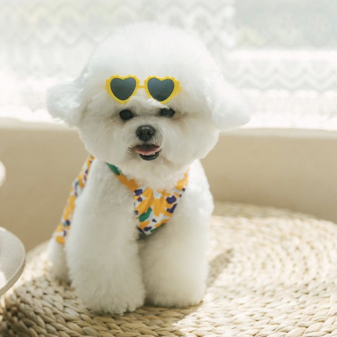 Creative Lace Love Pet Dog Cat Sunglasses