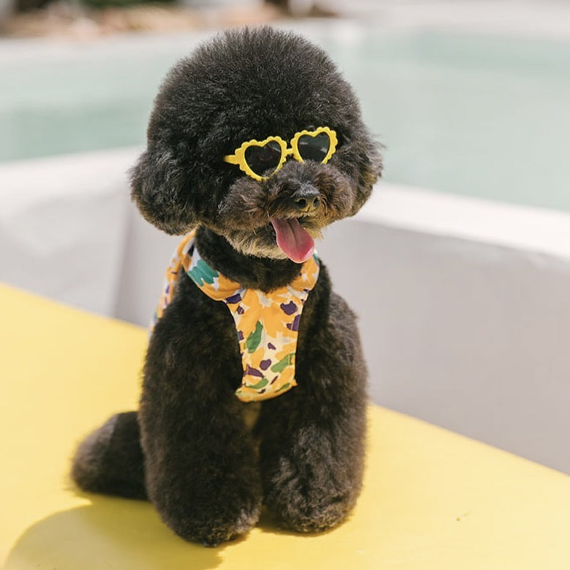 Creative Lace Love Pet Dog Cat Sunglasses