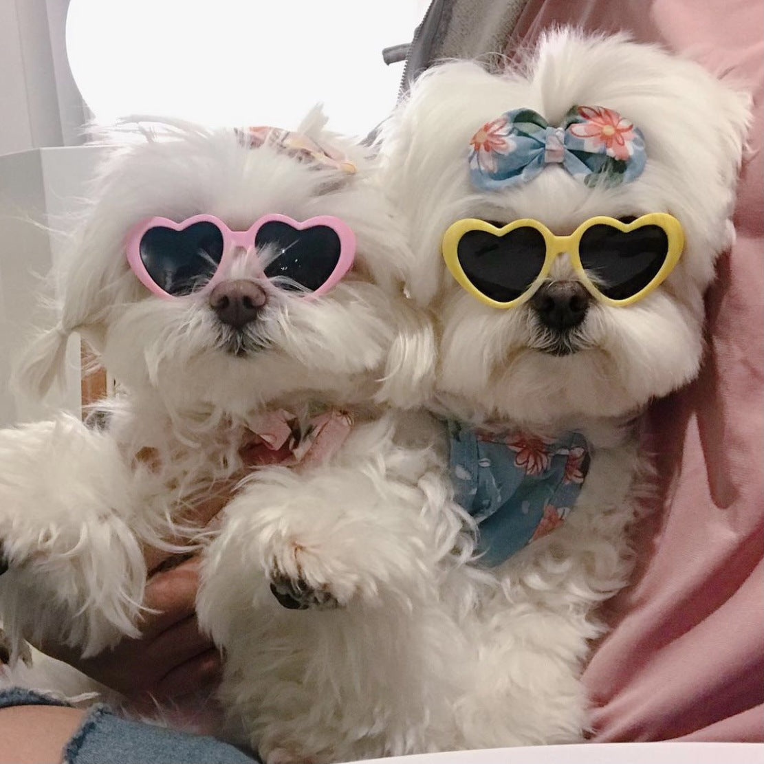 Creative Love Pet Dog Cat Creative Sunglasses