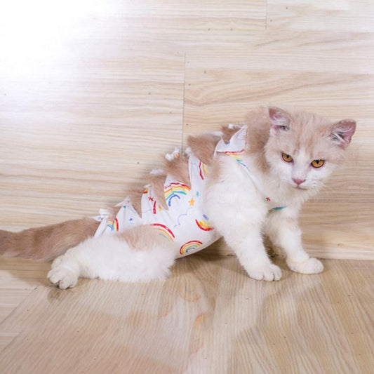 Cat Surgery Recovery Suit