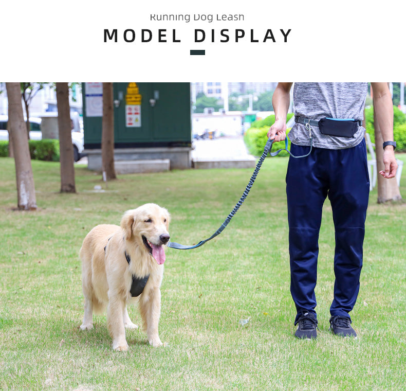 Walking Running Dog Waist Leash Pet Leash Lead