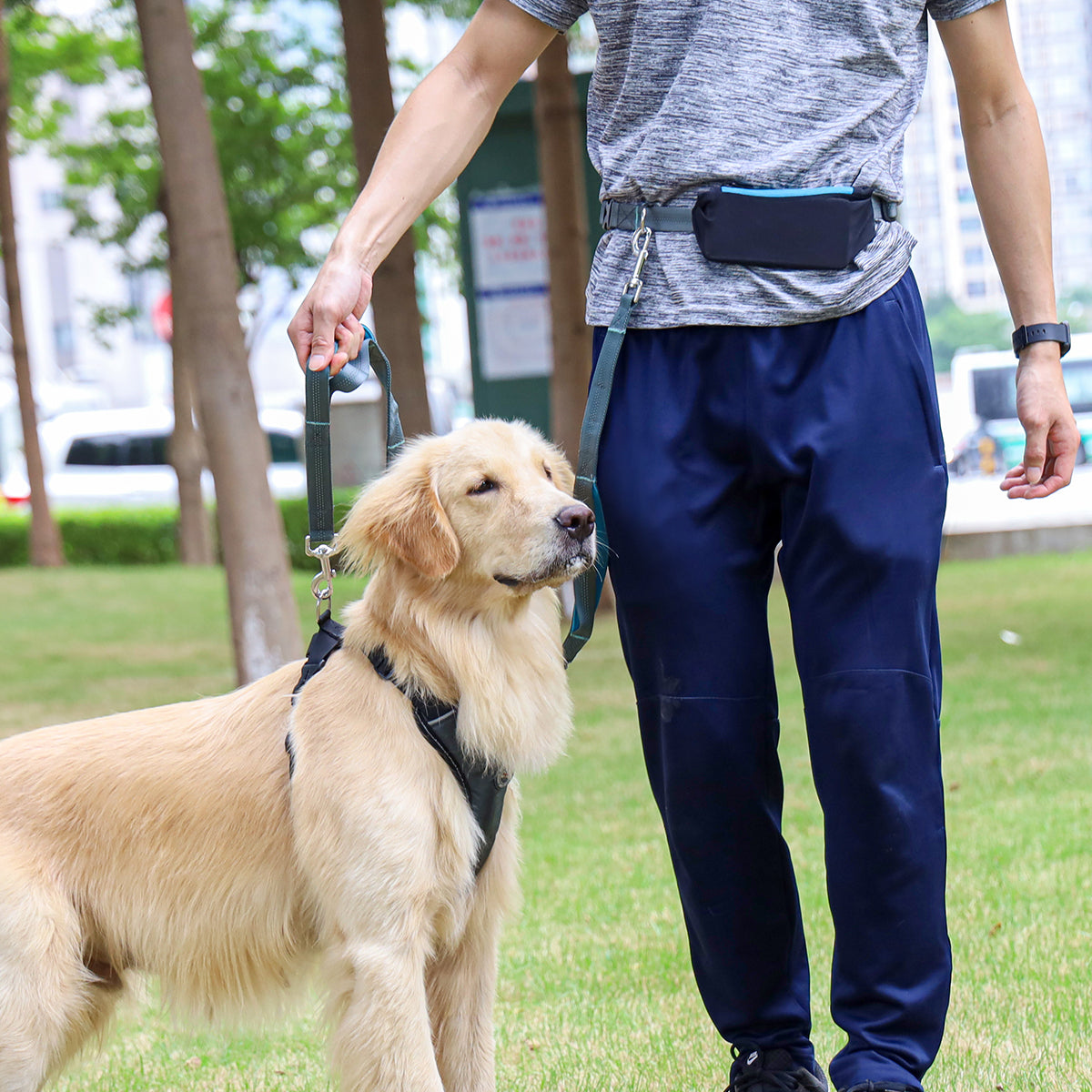 Walking Running Dog Waist Leash Pet Leash Lead