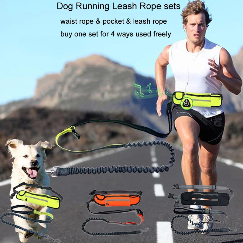 Pet Dog Leashes with Running Bag Hands Free Reflective Traction Rope